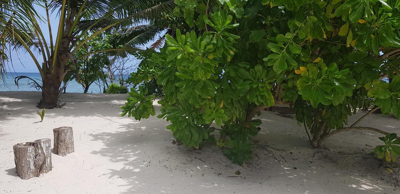 Villa Admiral Grand' Anse Buitenkant foto