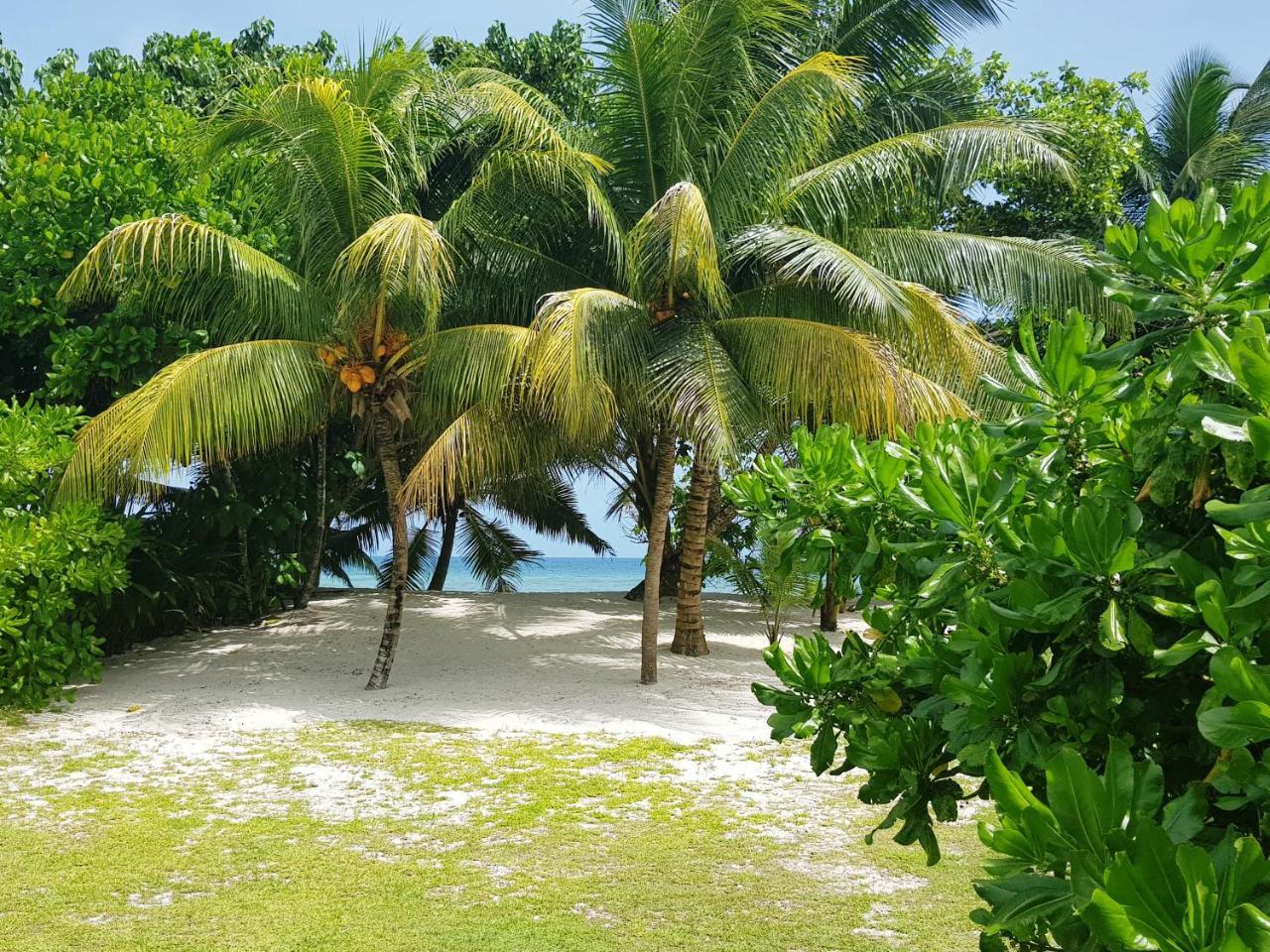 Villa Admiral Grand' Anse Buitenkant foto